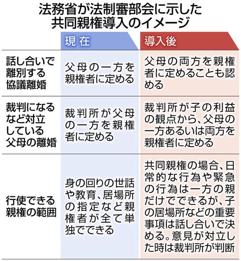 dswd とは|子の親権問題 .